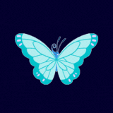 kaiyun.com