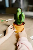 热门内容分类 - kaiyun.com