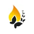 独家深度解读 - kaiyun.com